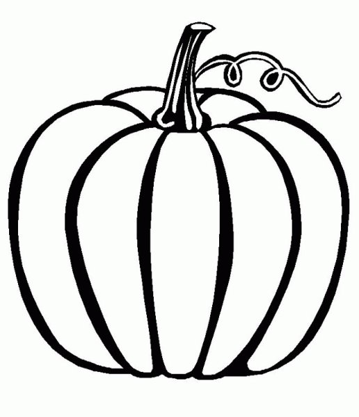 Тыква вектор контур