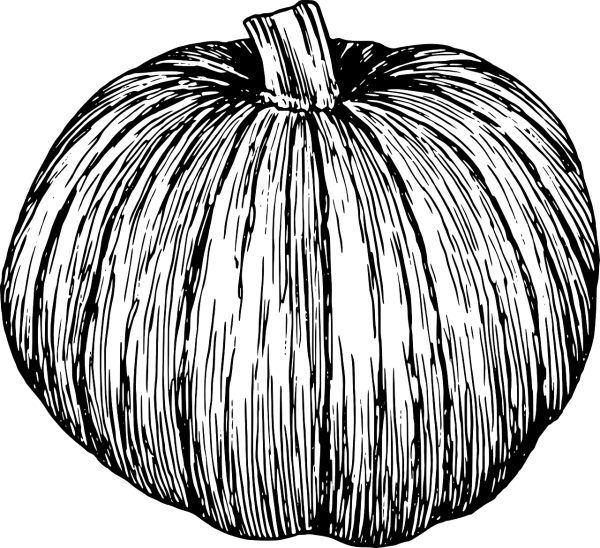Тыква набросок
