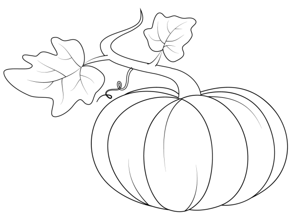 Тыква контурный рисунок