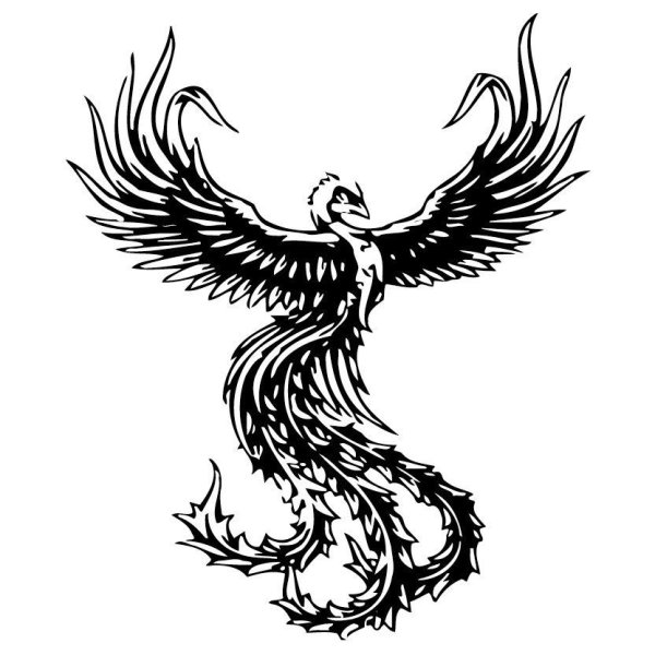 Феникс карандашом для срисовки