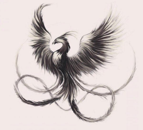 Тату черно белое