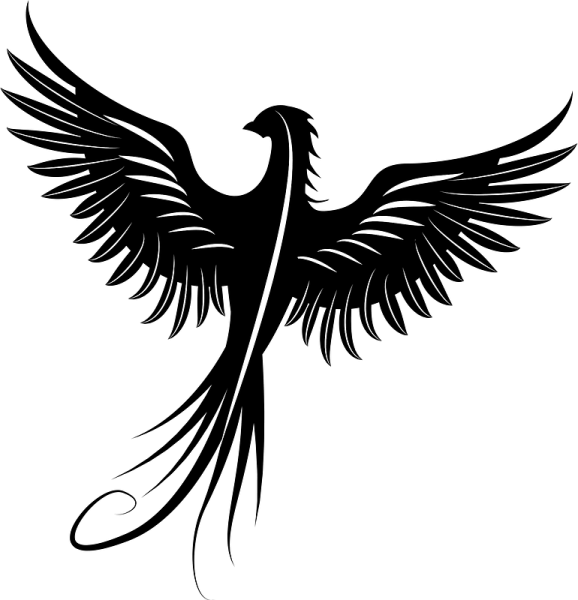 Феникс вектор