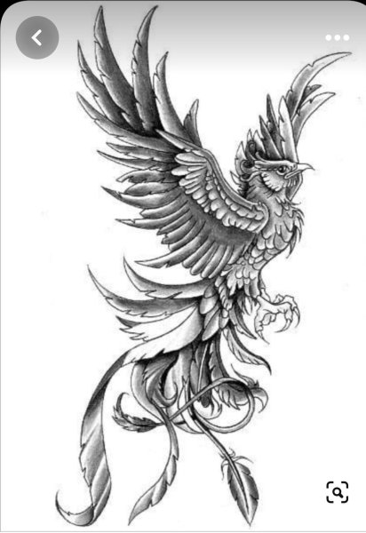 Орел Феникс тату
