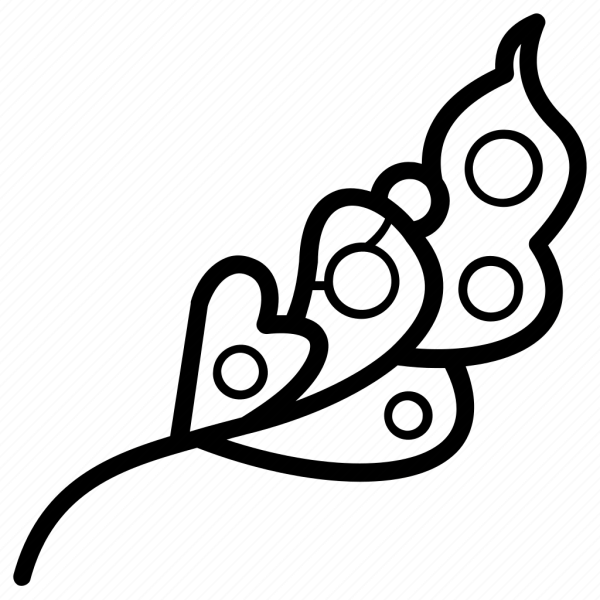 Брошка очертание