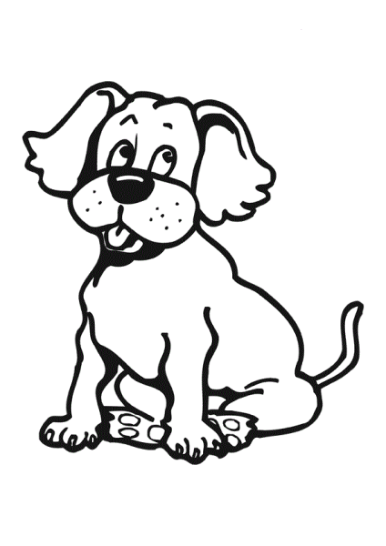 Собачка черно белая