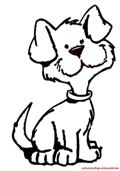 Собачка черно белая