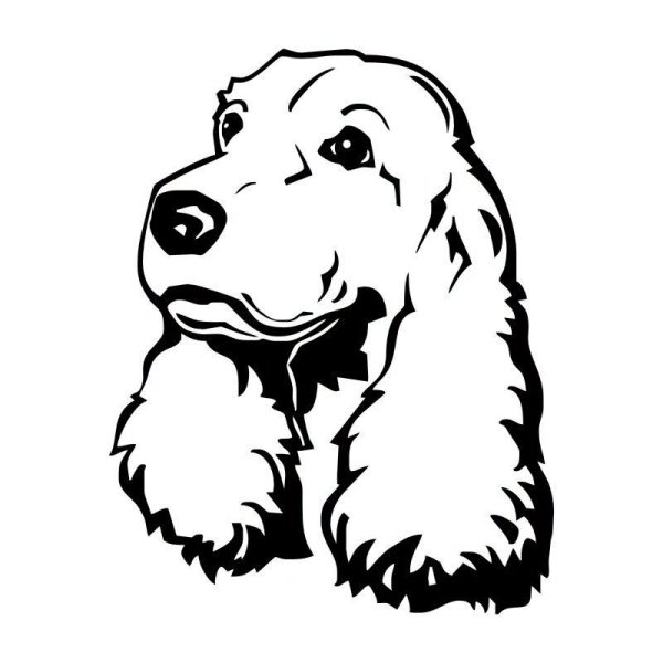 Английский кокер-спаниель