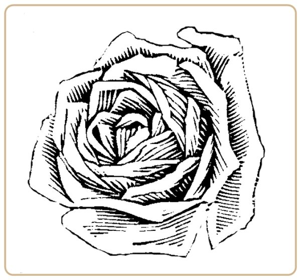 Графическая роза