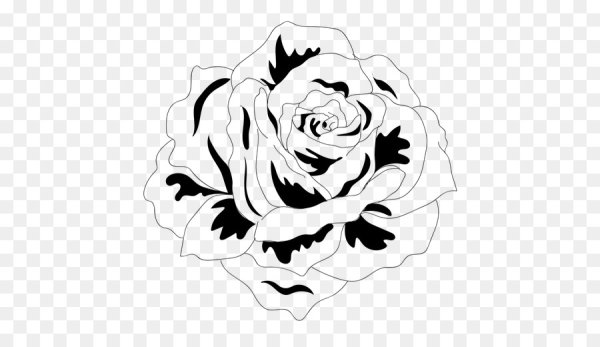 Роза контур