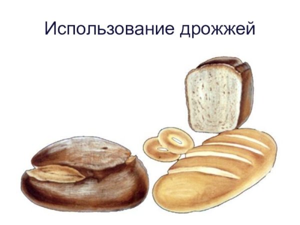 Использование дрожжей