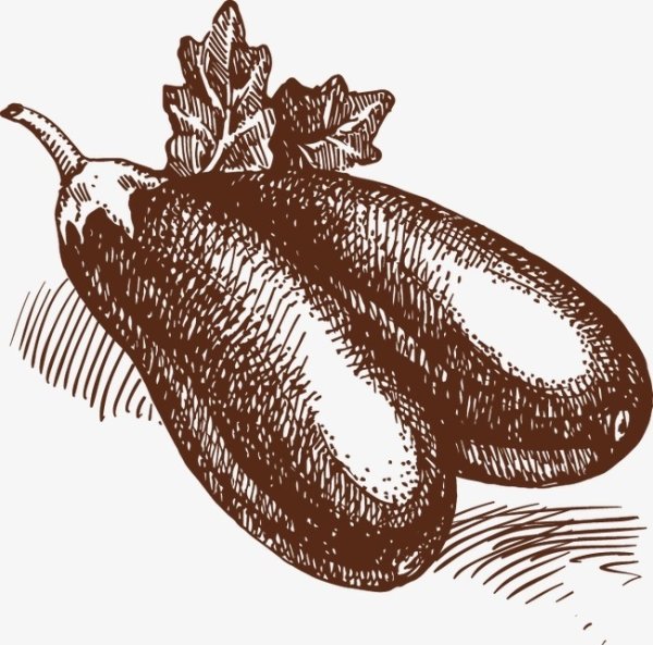 Баклажан простым карандашом