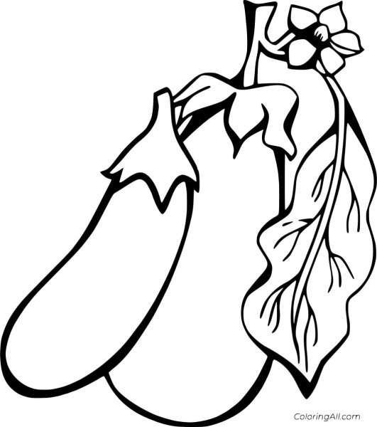 Баклажан для раскрашивания для детей