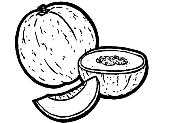 Дыня раскраска