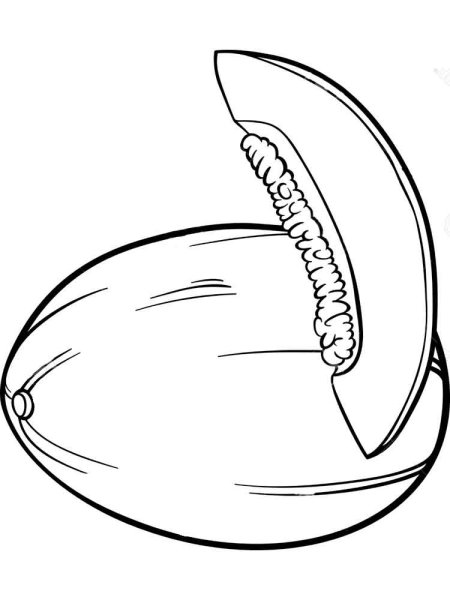 Дыня картинка для детей раскраска