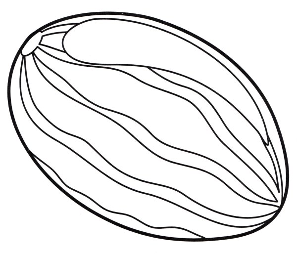 Раскраска фрукты дыня