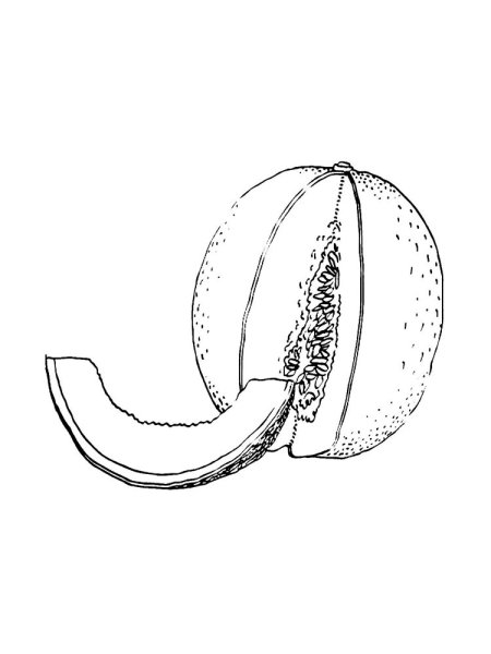 Дыня раскраска