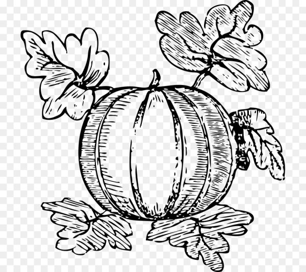 Тыква рисунок для детей