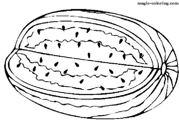 Дыня раскраска