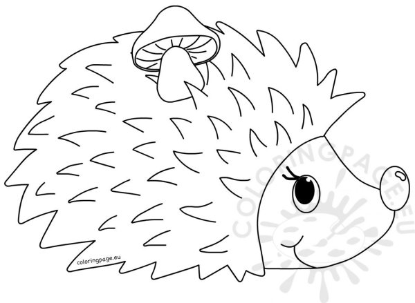 Еж раскраска