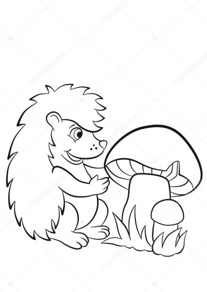 Раскраска Ёжик