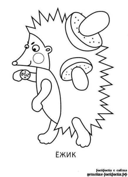 Еж раскраска