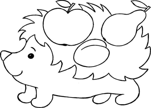 Ежик контур