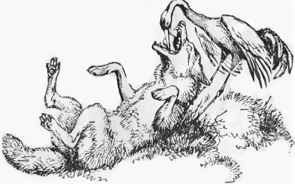 Волк и журавль басня Крылова