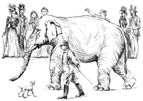 Раскраска слон и моська басня Крылова