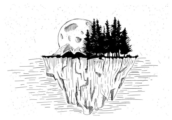 Черно белые рисунки природы