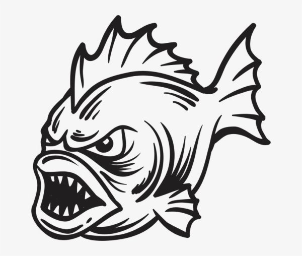 Рыба Пиранья