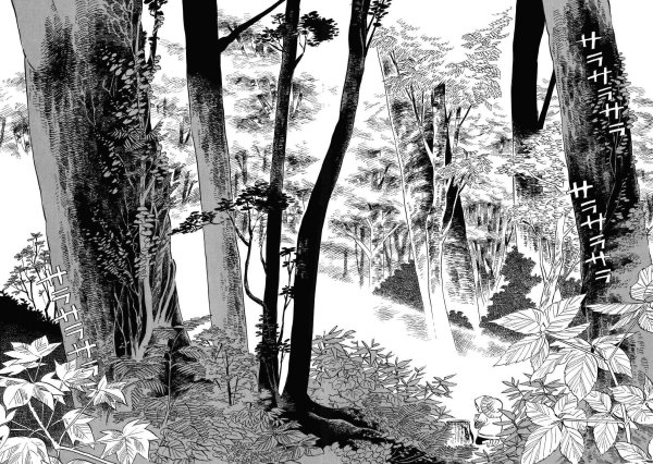 Графические изображения природы