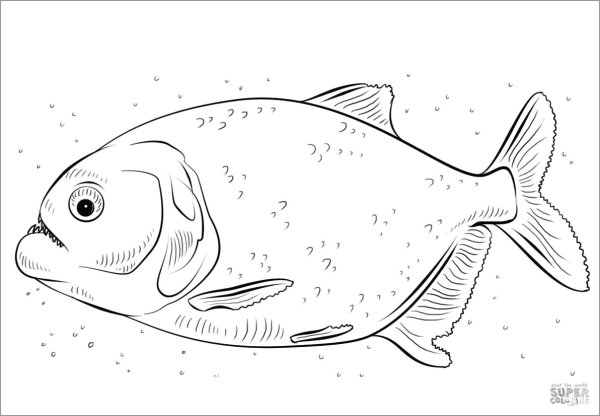 Пиранья раскраска