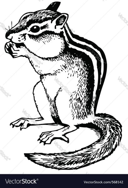 Нарисовать бурундука