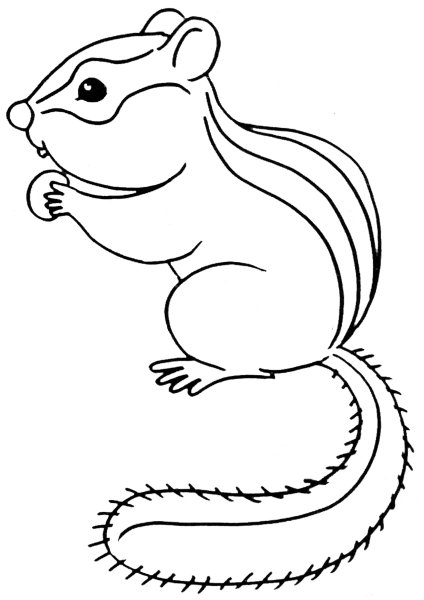 Бурундук черно белый