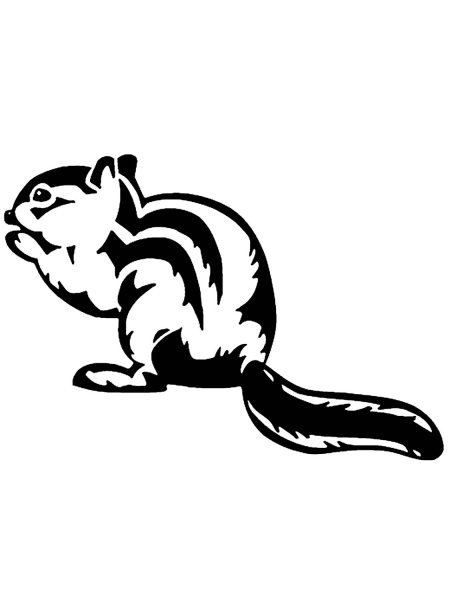 Азиатский бурундук раскраска