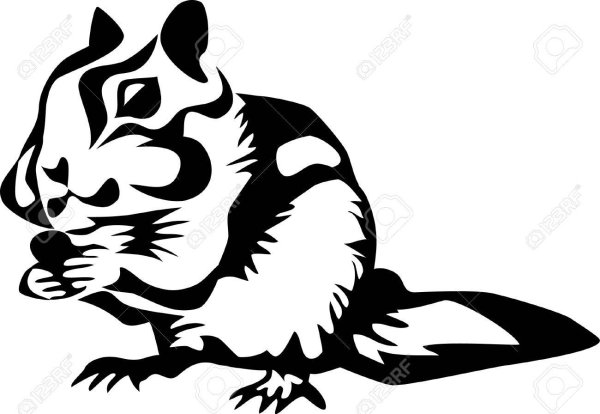 Бурундук в графике