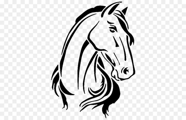 Контур головы лошади