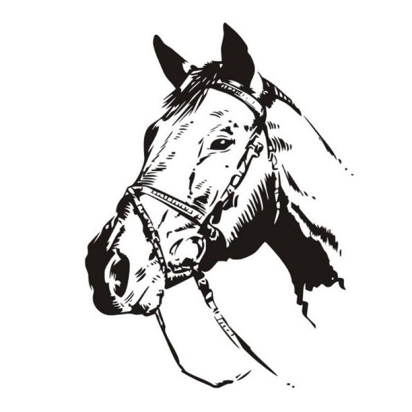 Силуэт лошади которая бежит рысью