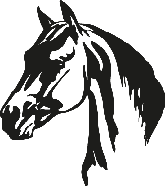 Наклейка конь