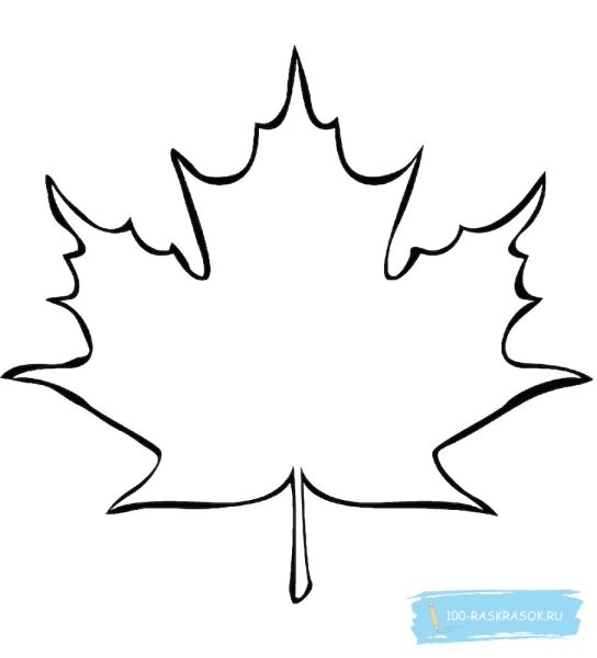Кленовый листок раскраска
