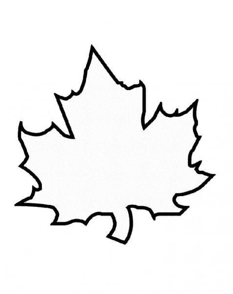 Кленовый лист раскраска цветная