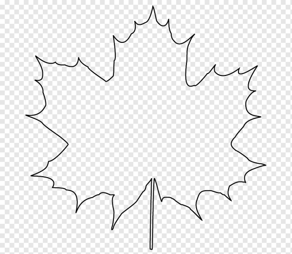 Клен раскраска