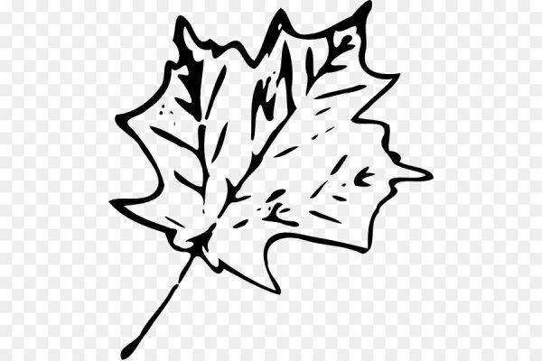 Осенние листья черно белые