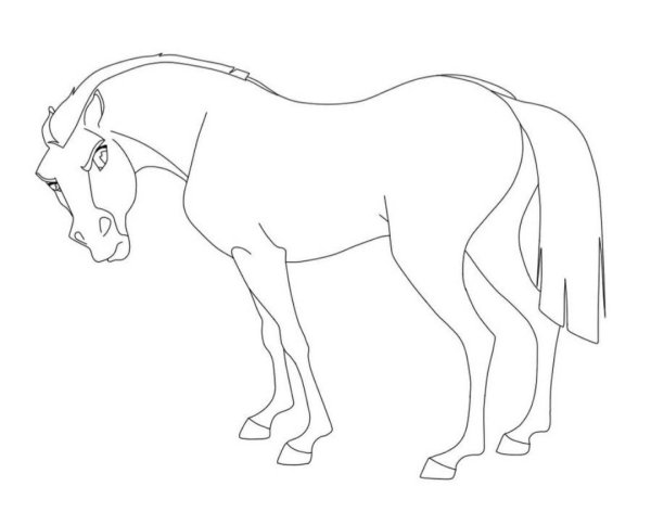 Раскраски спирит душа прерий 2