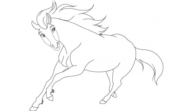 Лайн лошади спирит