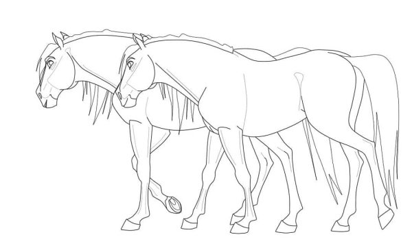 Спирит контур