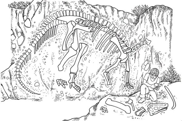 Раскраска археологические раскопки