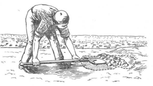 Раскраска Шахтер