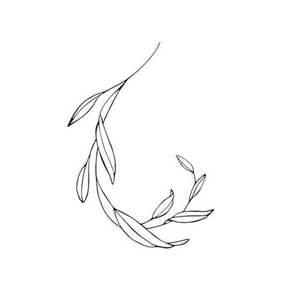 Эвкалиптовые веточки контур