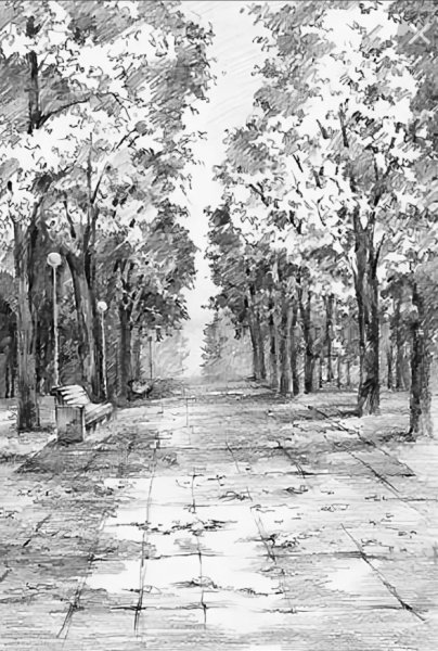 Парковый пейзаж карандашом